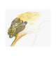 Glory Mask — Website Primary